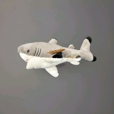 Aurora - Miyoni - 12.5