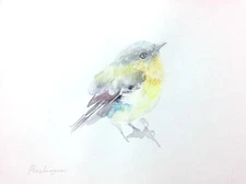 Baltimore Oriole, Birds, Watercolor artwork,Handmade,Original painting on paper