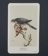 General Cigar Company Trading Card - No. 9 Goshawk - Card 2