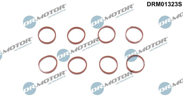 Dr.Motor Automotive Dichtungssatz, AnsaugkrüMmer U.A. FüR Jaguar, Land Rover-image