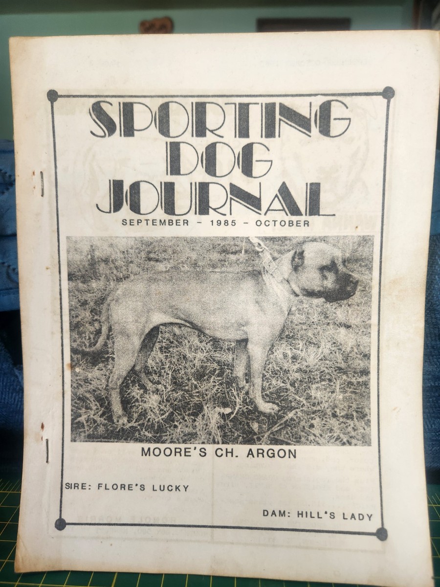 Y♢851 メイヤー ダルメシアン　置物 PIT THE MASSIVE DOG Y♢851 メイヤー ダルメシアン 置物 PIT THE MASSIVE DOG お取り置き