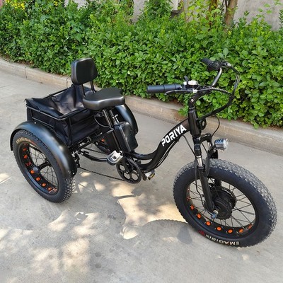 Electric Trike Tricycle Wheeler Cycle 48V 1500W Scooter