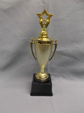 star cup trophy award on a black block base