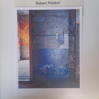 art Foto Edition Steidl ''Robert Polidori'' Petra Hotel No 1, Beirut, 2010