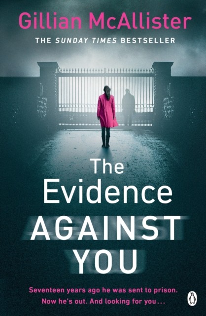 The Evidence Against You by Gillian McAllister (Paperback Book)