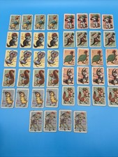 1950s Whitman Animal Rummy Mini Card Game RARE All 44 Playable Cards VTG HTF