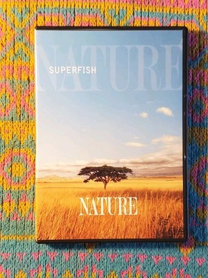 NATURE Superfish (DVD) Billfish Sailfish Swordfish Marlin PBS Series Documentary