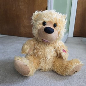 Noah Benshea - Talking Bear - Prayer Bear with Tag WORKING!