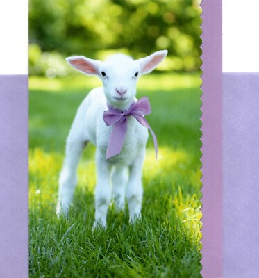 Happy Easter Springtime White Lamb Purple Bow Hallmark Greeting Card
