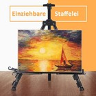 Bild 7 von 12