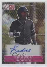 2021 Leaf Pro Set Metal 1991 Base Pink Wave /15 Yolbert Sanchez Auto 1b3