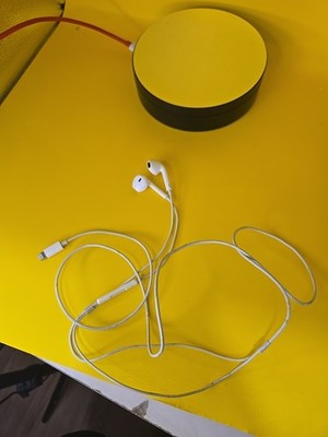 Apple Wired Earbuds w/Volume and Lightning Connection 