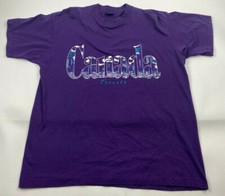 VTG Toronto Canada Single Stitch T Shirt Size XL Fruit of the Loom Made in USA