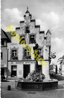 Offenburg Postcard Black Forest Deer Pharmacy Lion Fountain Fish Market Postcard