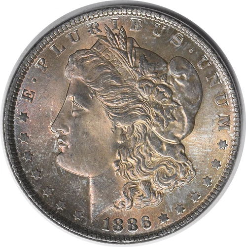 1886 Morgan Silver Dollar Choice BU Toned Uncertified #224