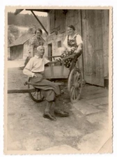 15559 - Photo * Homestead, Man with 2 Women Sitting on Hay Wagon * Circa 1937 Chuy