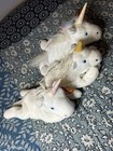 Ty Beanie Babies LOT OF ALL 3 1993 MYSTIC THE UNICORN & MAGIC THE DRAGON- MCMT — photo 10