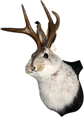 Jackalope Mount Jackalope Taxidermy Deer Head Wall Mount Resin Deer Head Animal
