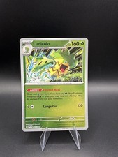 Pokemon Ludicolo Phantasmal Flames 7/94 Reverse Holo Near Mint English