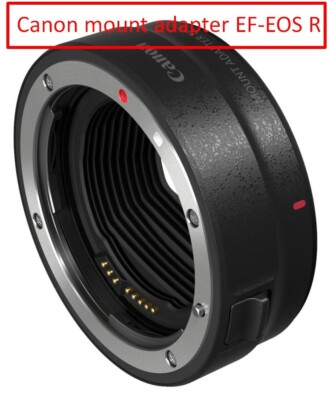 Canon mount adapter EF-EOS R EOS R compatible EF-EOSR 71.2×24mm EF Lens Series