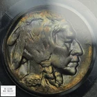 1934 D Buffalo Nickel 5C PCGS MS 64 (GORGEOUS TONING!)