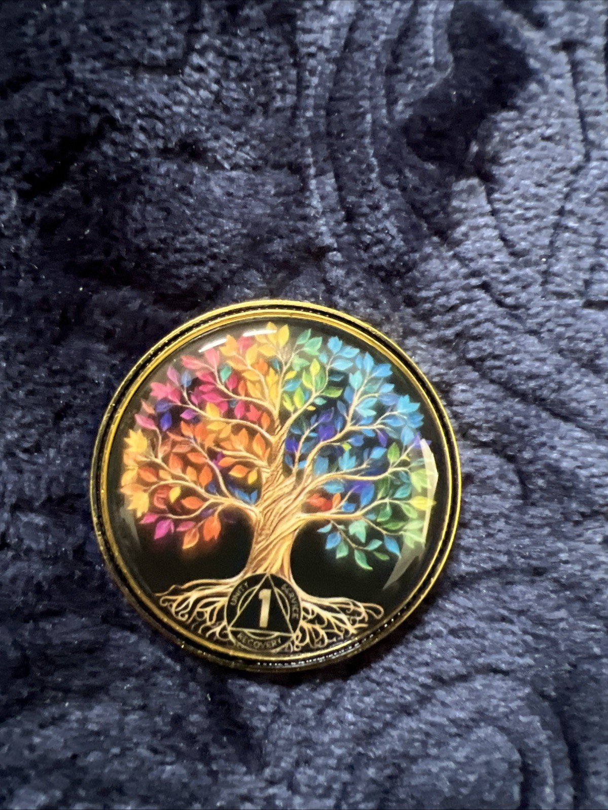 AA NA 1 Month Sobriety Coin/Medallion; Encouragement, Recovery Gift