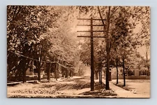 Postcard NY Geneseo New York c1910s View Elm Street Dirt Street AK4