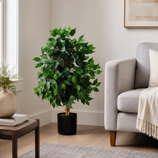 3' Ficus Tree x 3 w/378 Lvs