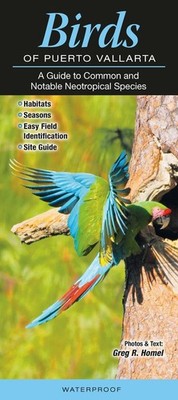 Birds of Puerto Vallarta: A Guide to Common & Notable Neotropical Species