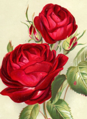 1880s Victorian Card ''Bright As These Flowers May Your Christmas Be'' #B