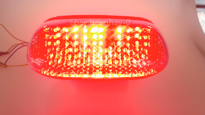 LED Rear Lamp Integrated Turn Signal Fit Kawasaki 1993-2001 ZX1100