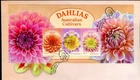 2026 Dahlias: Australian Cultivars (Mini Sheet) FDC - Ballarat Vic 3350 PMK
