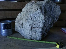 MEGA Pumice Stone Terrarium Floating Natural Rock Garden Volcanic Plant #580