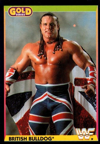 WWF WWE Merlin 1992 Part 1 (Black) Wrestling Trading Cards (summerSlam) Pick One - Picture 168 of 189
