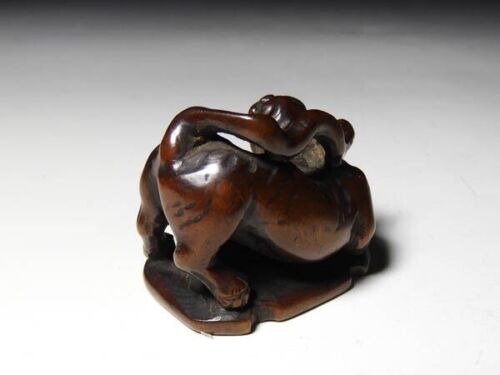 Netsuke Inro Sagemono Edo scultura giapponese antica in legno tigre tigra timbrata - Foto 3 di 7