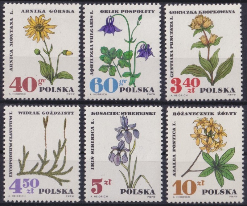 花25 F-EX57625 POLAND MNH 1967 FLOWER FLORES ORCHID ORQUIDEAS. | eBay