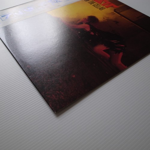 Ratt – Out Of The Cellar JAPAN 1984 NEAR MINT vinyl LP P-11472 - Picture 3 of 11