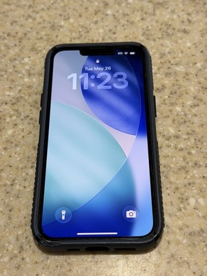 Apple iPhone 13 Pro - 256 GB - Sierra Blue (Unlocked) - Excellent Condition