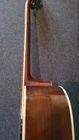 Picture 13 of 14