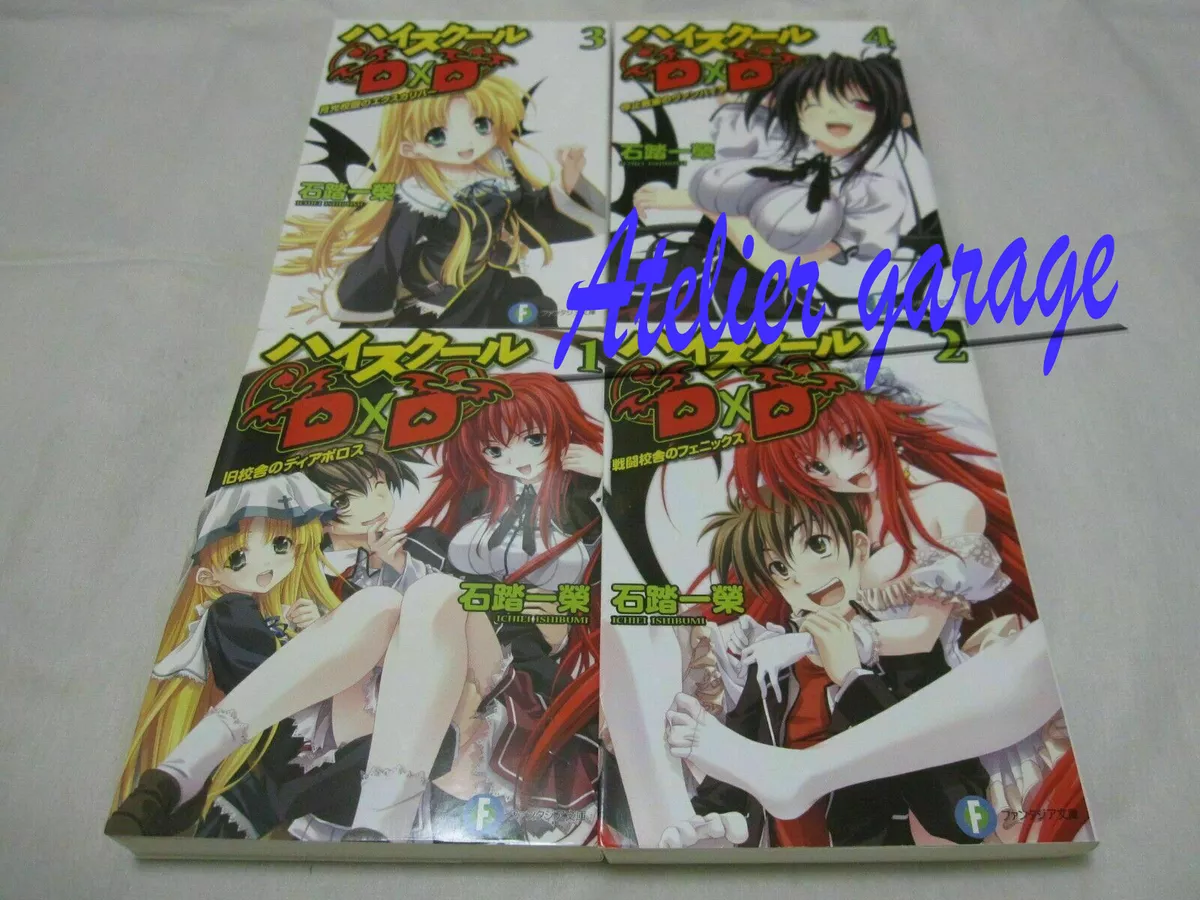 High School DxD Light Novel 1-25 Volume Set [Used]