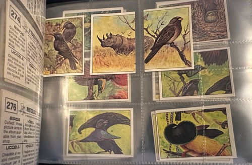 PANINI BIRDS : RARE COLLECTION OF LOOSE STICKERS 1-300 COMPLETE ALL IN VGC 1979 - Picture 9 of 10