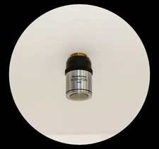 ausJena Planachromat HI 100X Microscope Objective Oil Immersion Inf. Corrected
