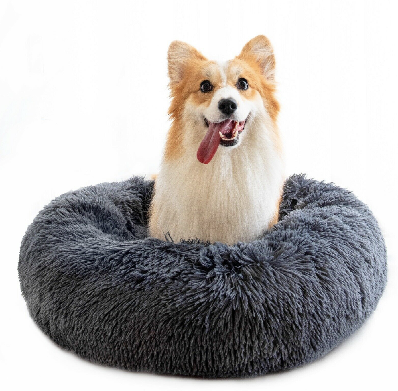 dog beds that help anxiety