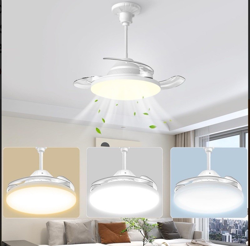 22 Inch Socket Fan Light With Remote