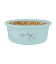 XL Feeding Bowl with Lid