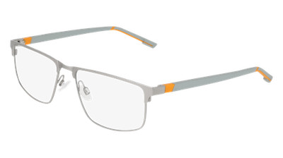Brille FLEXON FLEXON E1171 040 MATT SILVER 56/16/140 Herren