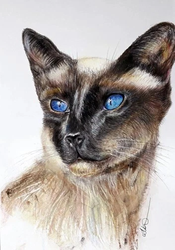 Realism Decorative Posters & Prints