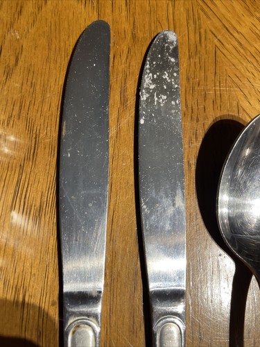 Hampton Silversmiths PORTRAIT Stainless Flatware Lot Of 4 Dinner Spoons Knives - Picture 5 of 14