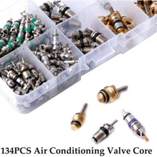 134pcs Car A/C Air Conditioning R134A Valve Core Assortment Remover Tool Kit