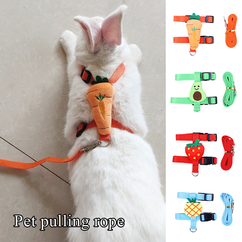 Gatito Perro Gato Arnés para Caminar Chaleco Correa Cadena Collar Mascotas M <